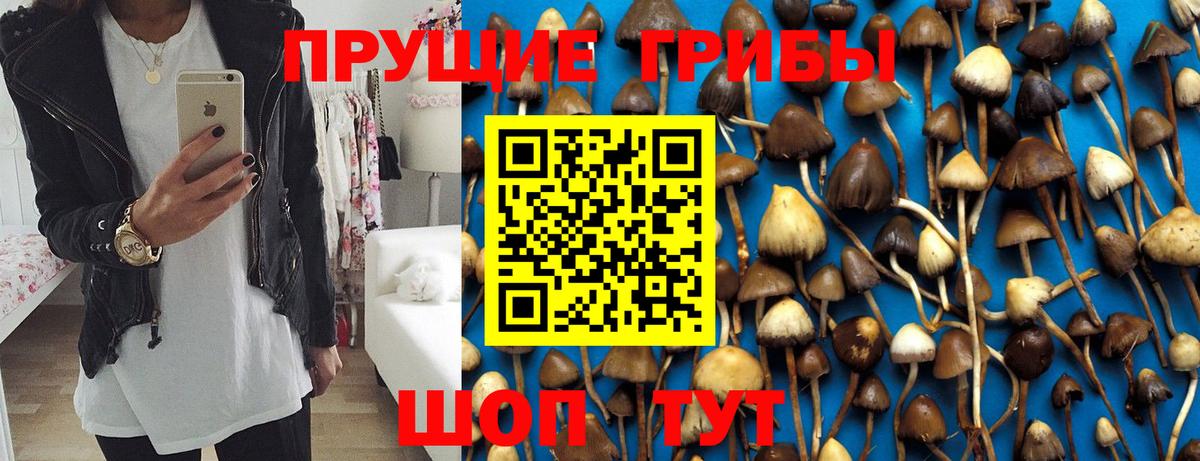 Орск  Псилоцибиновые грибы мухоморы  Вход с VPN 